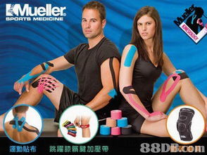 德成運動用品公司提供大型運動器材,籃球架,乒乓球臺等產品