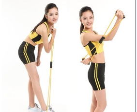 易威斯堡塑胸拉力器 價格、廠家與選購指南