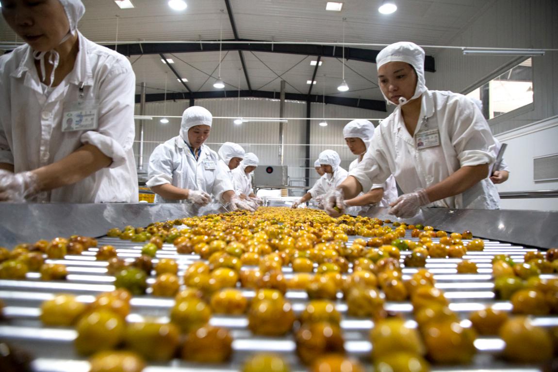 堅(jiān)守綠色初心，鑄就品質(zhì)傳奇——揭秘一家企業(yè)如何讓產(chǎn)品連續(xù)24年通過“綠色食品”認(rèn)證